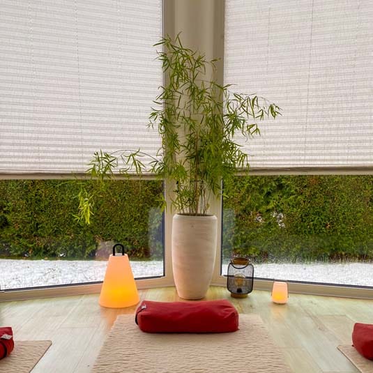 Yoga-Raum mit Pflanzen und sanfter Beleuchtung – vorbereitete Atmosphäre für Yoga-Veranstaltung